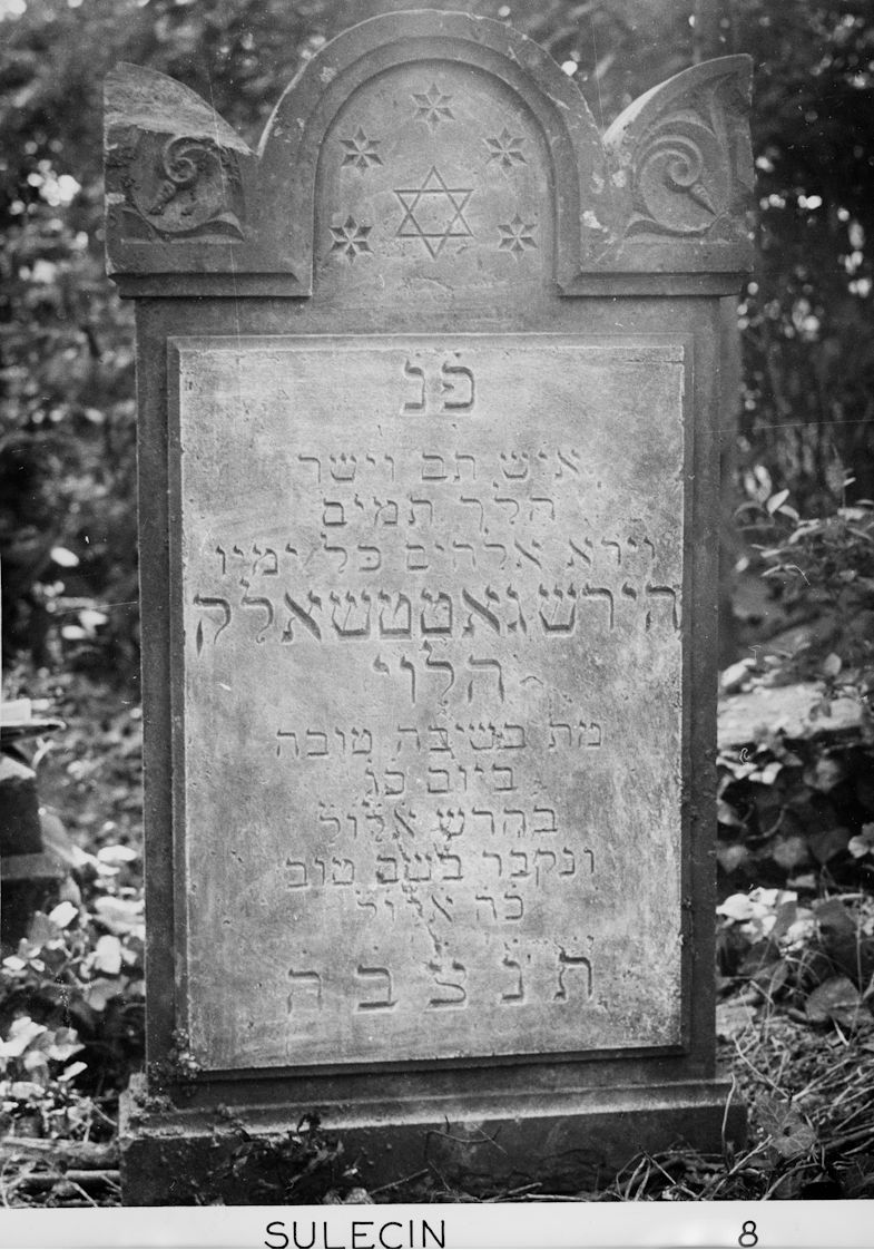 Grabstein Nummer 17 auf dem Friedhof Sulęcin (Zielenzig)