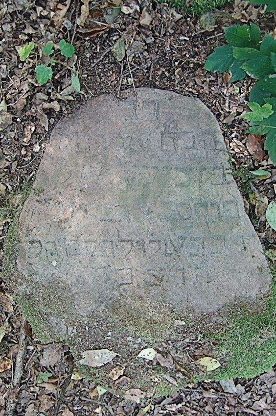 Grabstein Nummer 151 auf dem Friedhof Trzciel (Tirschtiegel)