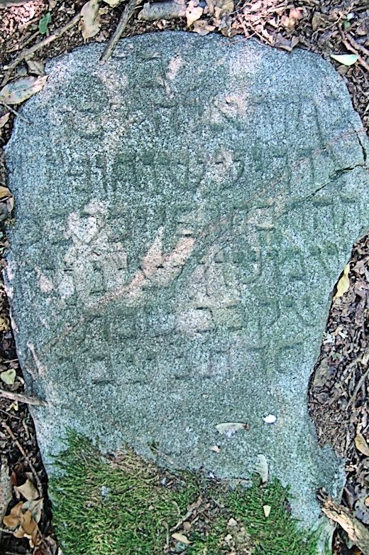 Grabstein Nummer 152 auf dem Friedhof Trzciel (Tirschtiegel)