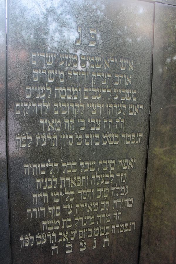 Grabstein Nummer 48 auf dem Friedhof Guben