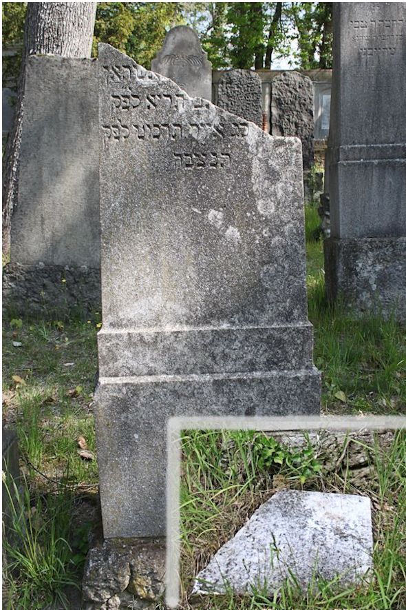 Grabstein Nummer 293 auf dem Friedhof Potsdam
