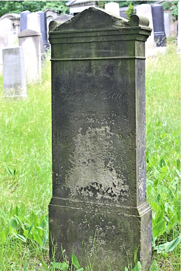 Grabstein Nummer 194 auf dem Friedhof Potsdam