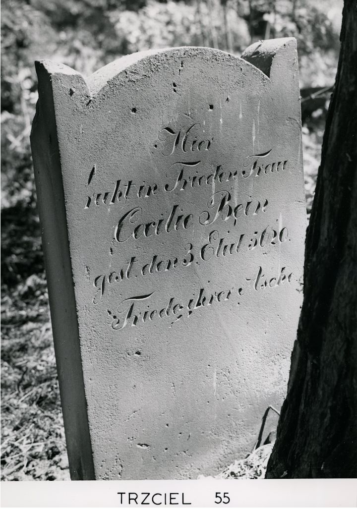 Grabstein Nummer 5 auf dem Friedhof Trzciel (Tirschtiegel)
