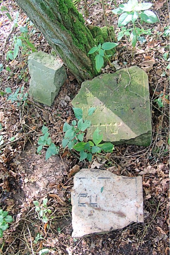 Grabstein Nummer 94 auf dem Friedhof Trzciel (Tirschtiegel)