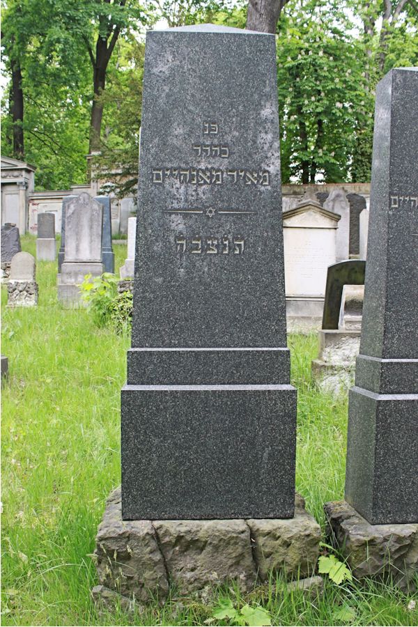 Grabstein Nummer 267 auf dem Friedhof Potsdam