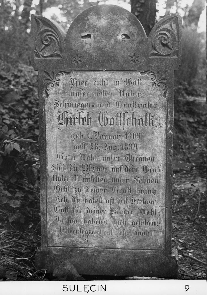 Grabstein Nummer 17 auf dem Friedhof Sulęcin (Zielenzig)