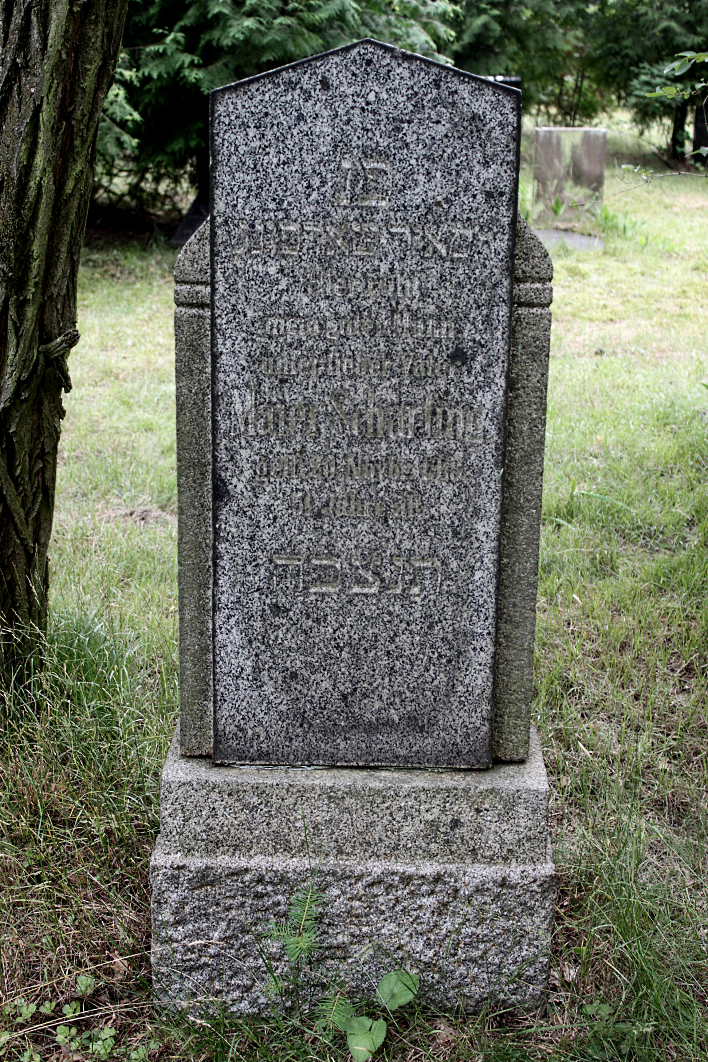 Grabstein Nummer 35 auf dem Friedhof Cottbus 1