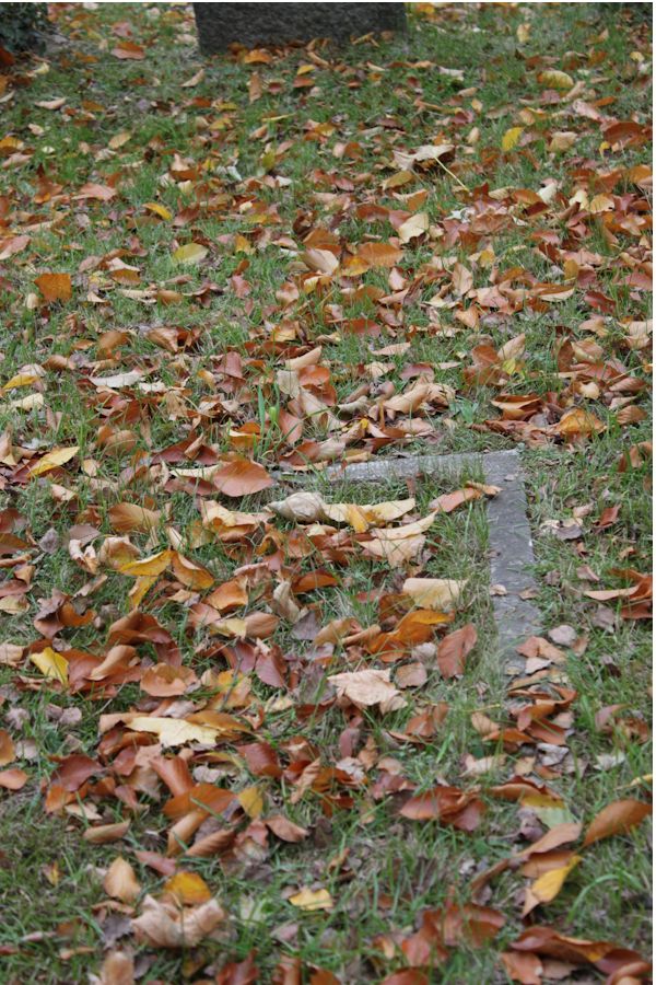 Grabstein Nummer 5101 auf dem Friedhof Potsdam