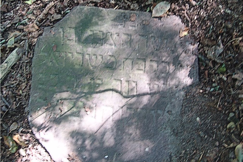 Grabstein Nummer 156 auf dem Friedhof Trzciel (Tirschtiegel)
