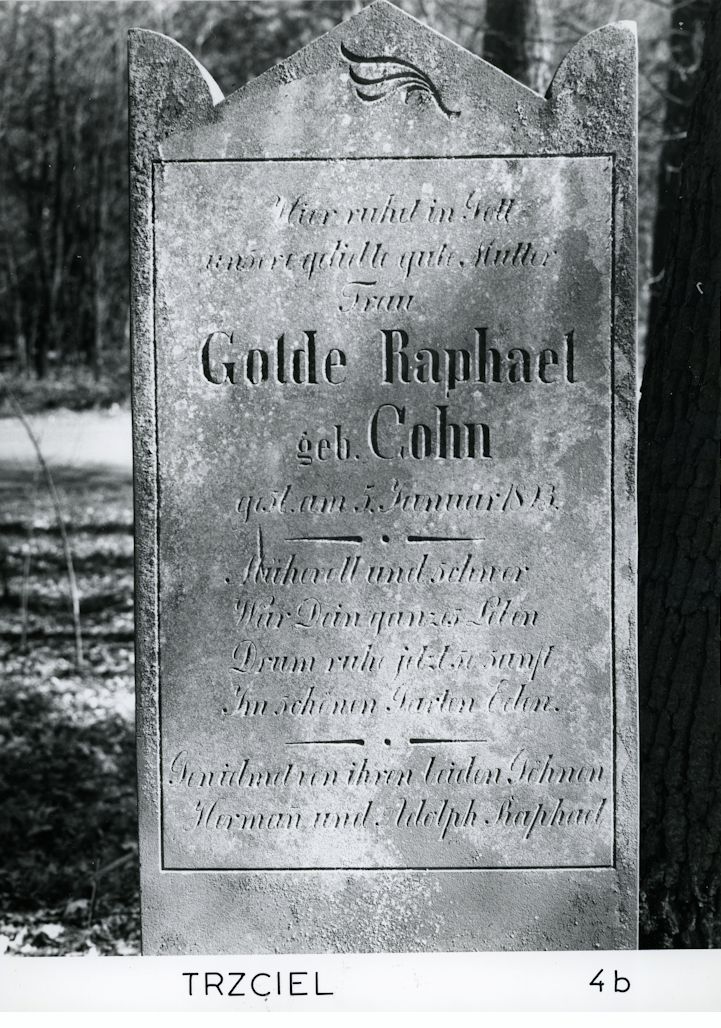 Grabstein Nummer 13 auf dem Friedhof Trzciel (Tirschtiegel)