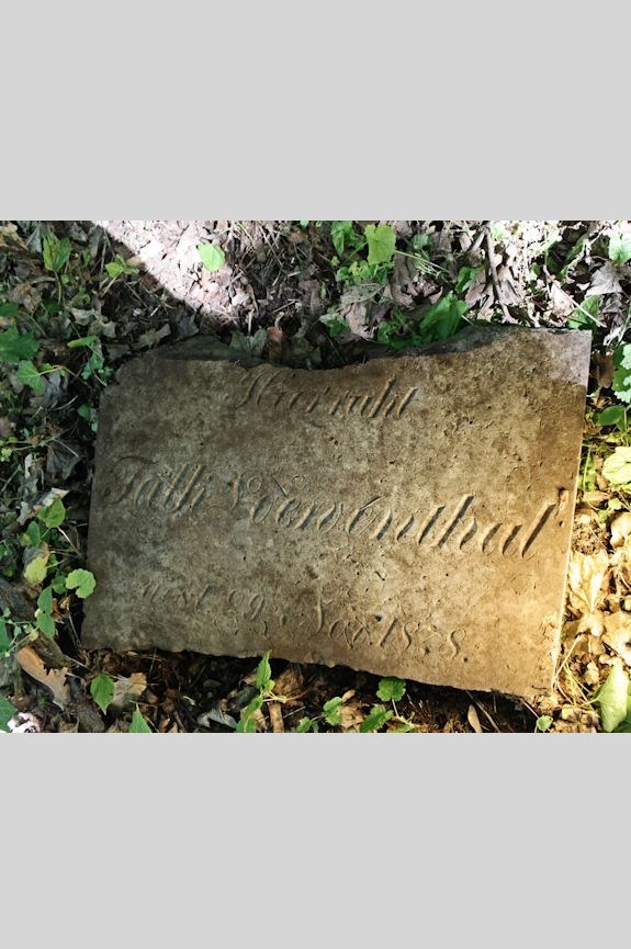 Grabstein Nummer 13 auf dem Friedhof Świętojańsko (St. Johannes)