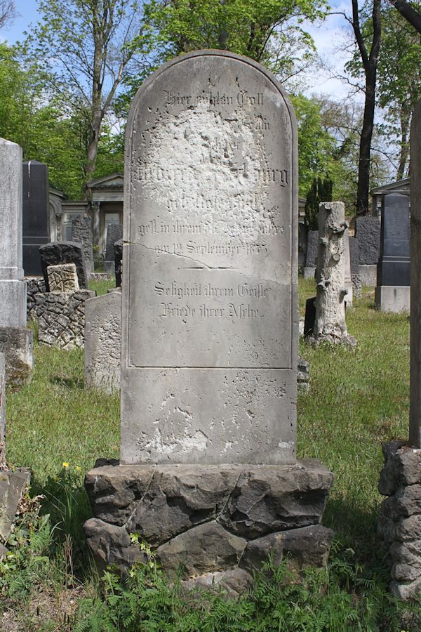 Grabstein Nummer 243 auf dem Friedhof Potsdam
