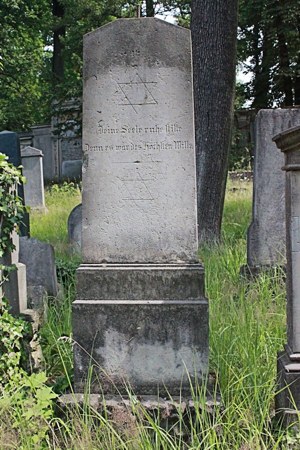 Grabstein Nummer 295 auf dem Friedhof Potsdam
