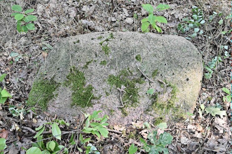Grabstein Nummer 33 auf dem Friedhof Trzemeszno Lubuskie (Schermeisel)