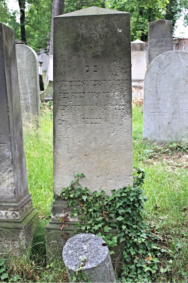 Grabstein Nummer 224 auf dem Friedhof Potsdam