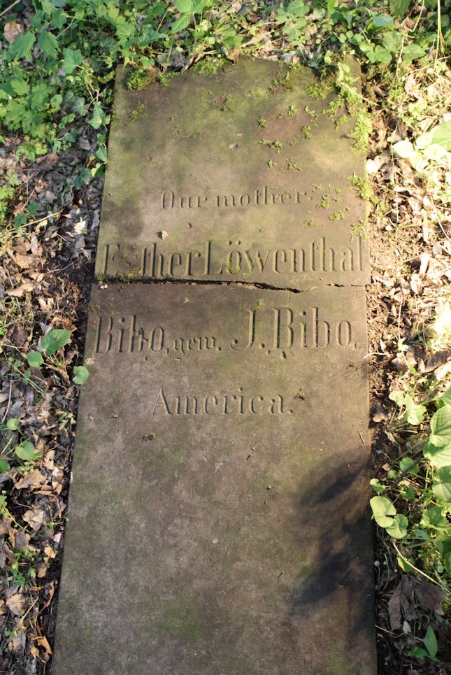 Grabstein Nummer 2 auf dem Friedhof Torzym (Sternberg)