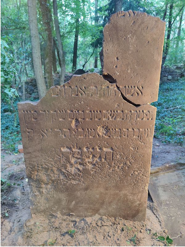 Grabstein Nummer 25 auf dem Friedhof Boleszkowice (Fürstenfelde)