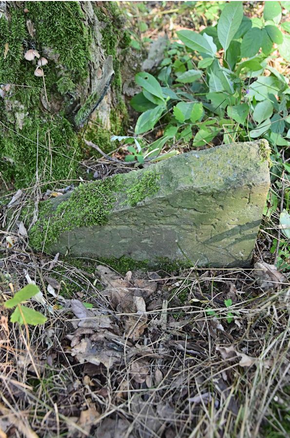 Grabstein Nummer 63 auf dem Friedhof Trzemeszno Lubuskie (Schermeisel)