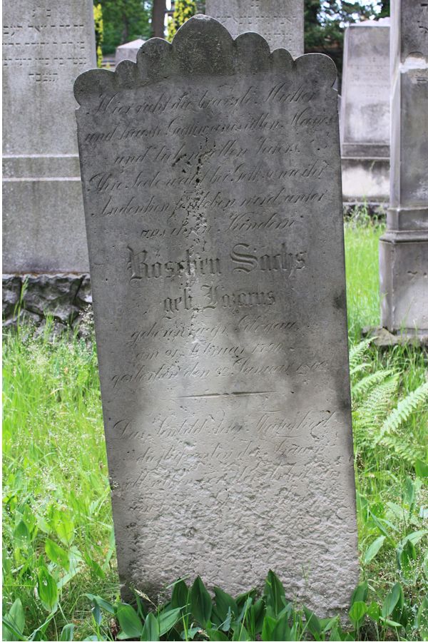 Grabstein Nummer 212 auf dem Friedhof Potsdam