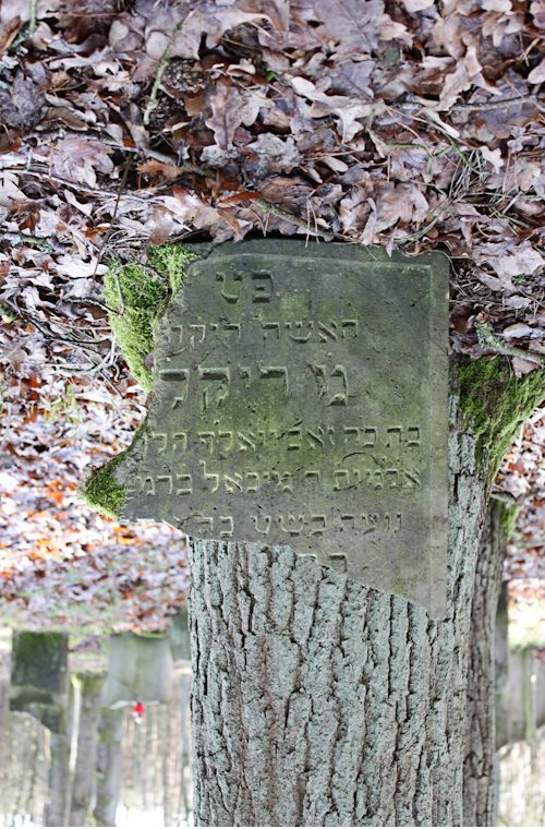 Grabstein Nummer 1 auf dem Friedhof Bledzew (Blesen)
