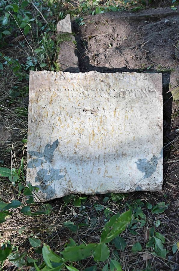 Grabstein Nummer 61 auf dem Friedhof Trzemeszno Lubuskie (Schermeisel)