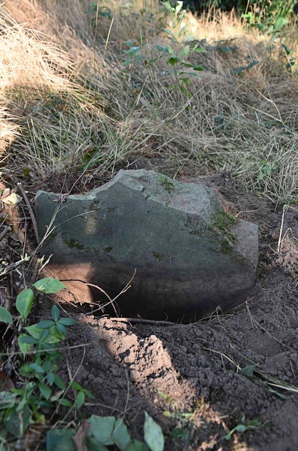 Grabstein Nummer 85 auf dem Friedhof Trzemeszno Lubuskie (Schermeisel)