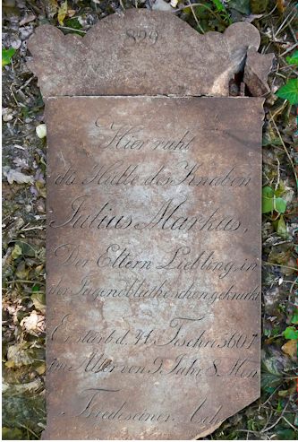 Grabstein Nummer 829 auf dem Friedhof Frankfurt/Oder