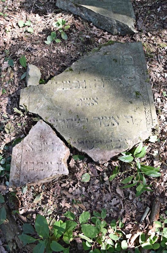 Grabstein Nummer 13 auf dem Friedhof Trzemeszno Lubuskie (Schermeisel)