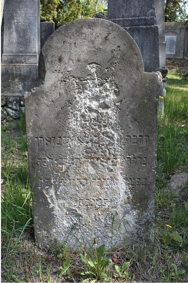 Grabstein Nummer 292 auf dem Friedhof Potsdam
