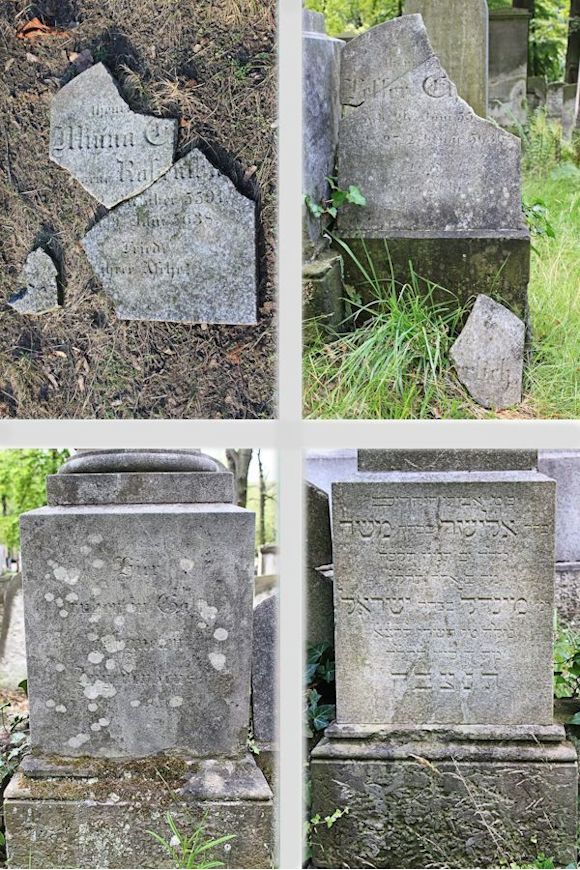 Grabstein Nummer 264 auf dem Friedhof Potsdam