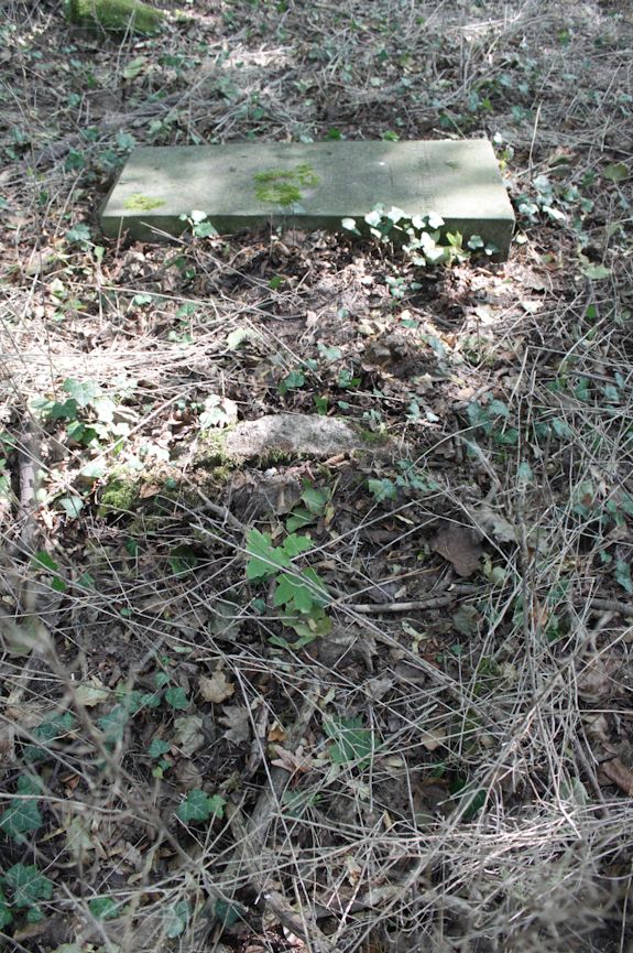 Grabstein Nummer 34 auf dem Friedhof Świętojańsko (St. Johannes)