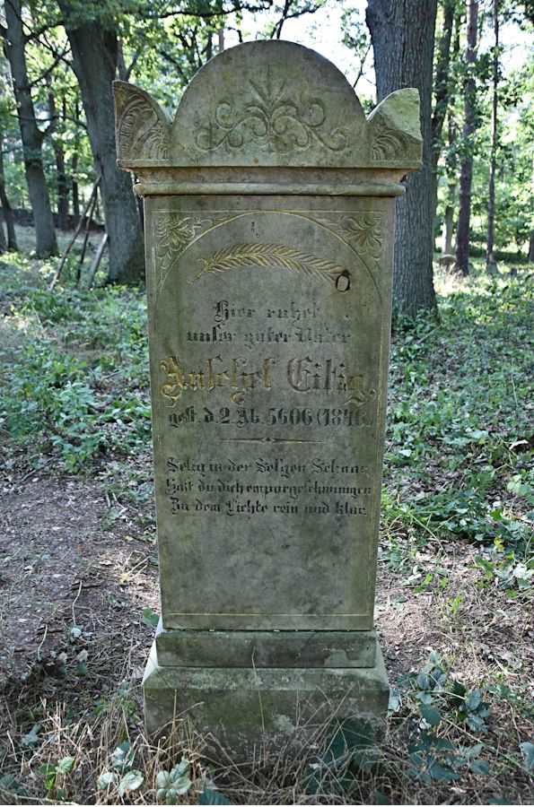 Grabstein Nummer 71 auf dem Friedhof Trzemeszno Lubuskie (Schermeisel)