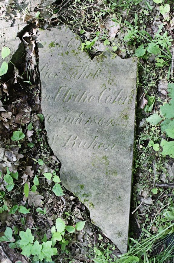 Grabstein Nummer 40 auf dem Friedhof Świętojańsko (St. Johannes)