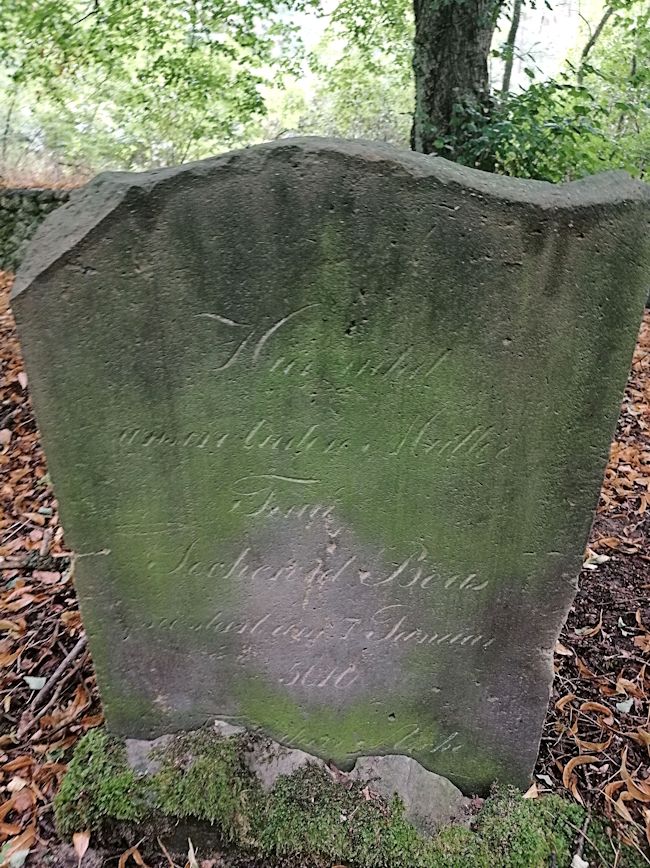 Grabstein Nummer 127 auf dem Friedhof Trzciel (Tirschtiegel)
