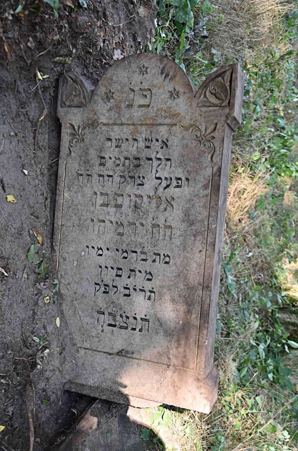 Grabstein Nummer 64 auf dem Friedhof Trzemeszno Lubuskie (Schermeisel)