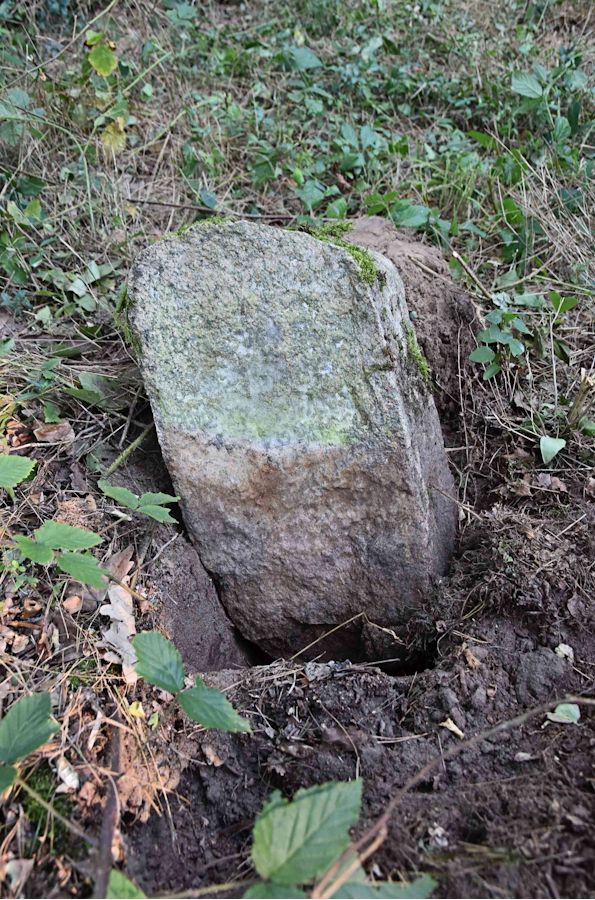 Grabstein Nummer 96 auf dem Friedhof Trzemeszno Lubuskie (Schermeisel)