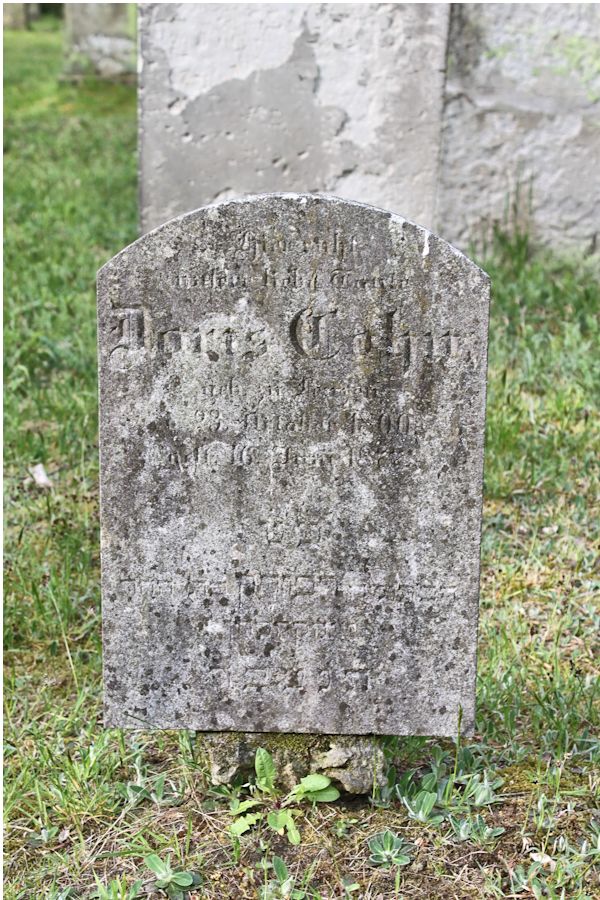 Grabstein Nummer 239 auf dem Friedhof Potsdam