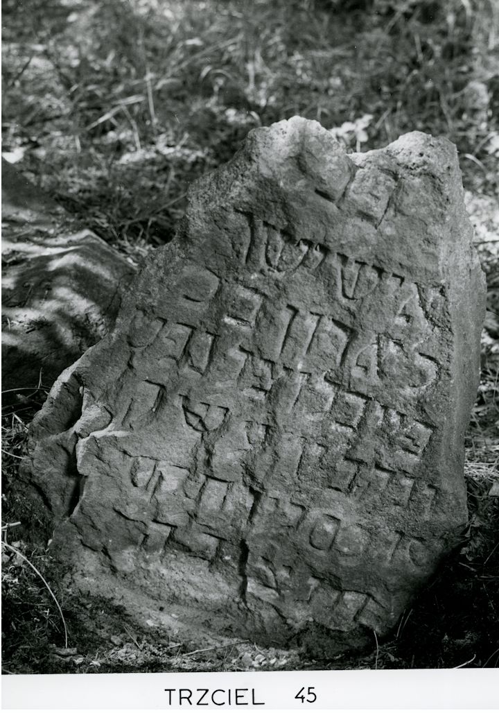 Grabstein Nummer 53 auf dem Friedhof Trzciel (Tirschtiegel)
