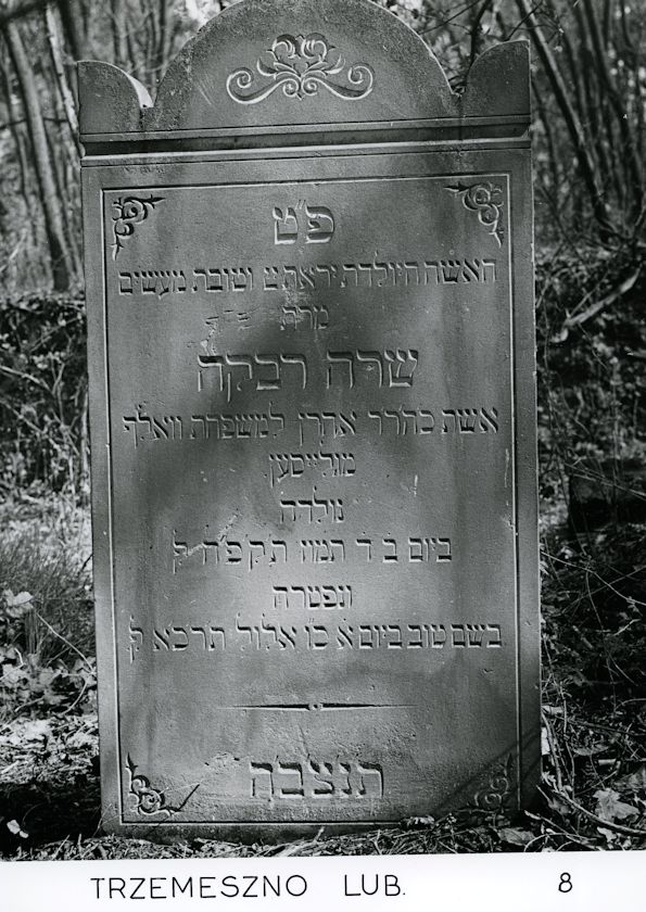 Grabstein Nummer 93 auf dem Friedhof Trzemeszno Lubuskie (Schermeisel)