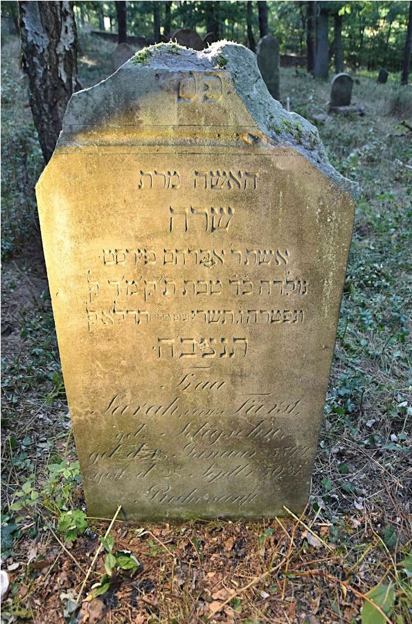 Grabstein Nummer 101 auf dem Friedhof Trzemeszno Lubuskie (Schermeisel)