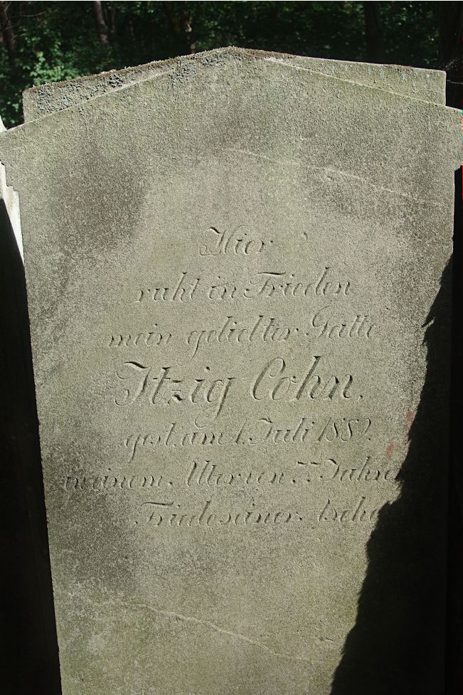 Grabstein Nummer 100 auf dem Friedhof Trzciel (Tirschtiegel)