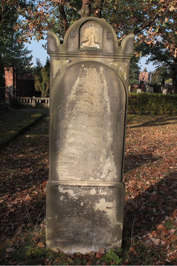 Grabstein Nummer 24 auf dem Friedhof Guben
