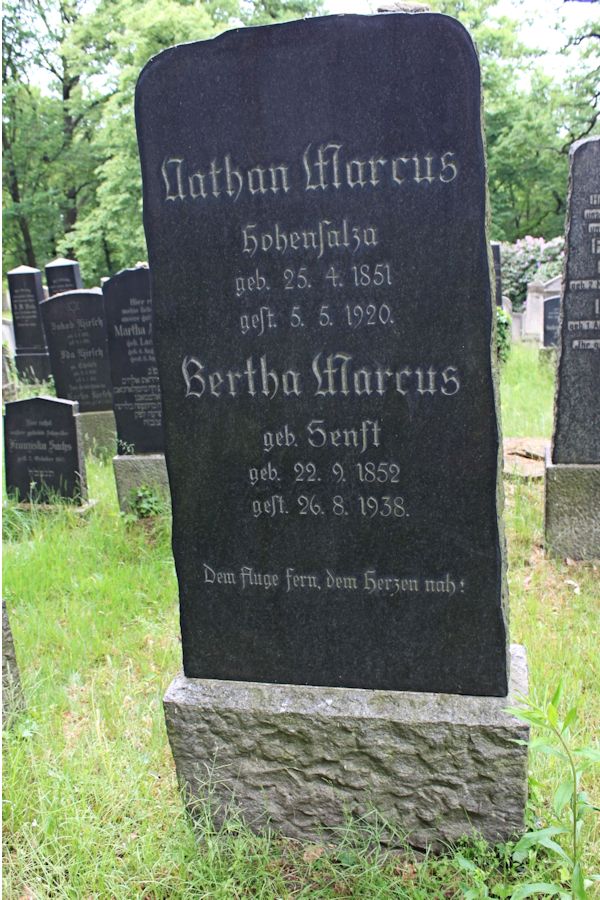 Grabstein Nummer 381 auf dem Friedhof Potsdam