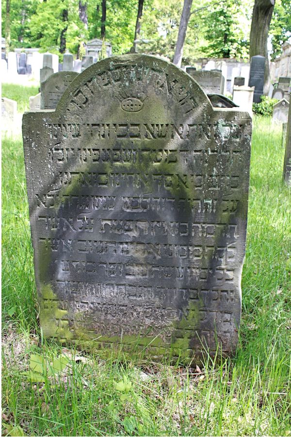 Grabstein Nummer 95 auf dem Friedhof Potsdam