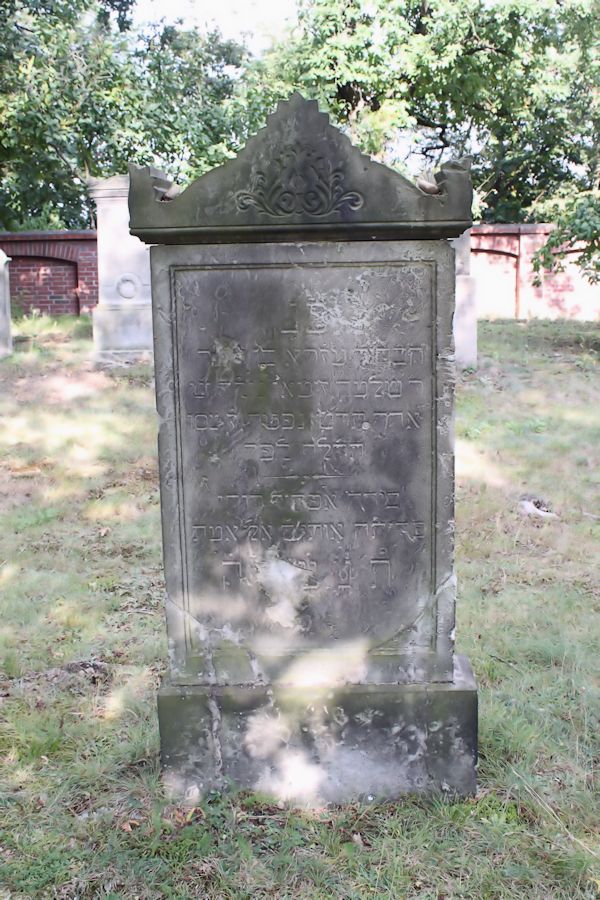 Grabstein Nummer 25 auf dem Friedhof Guben