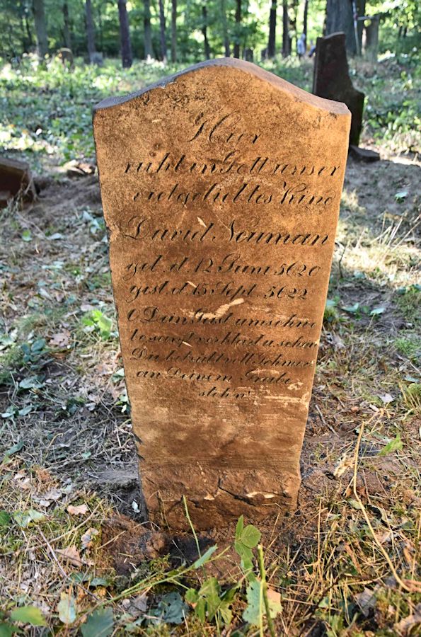 Grabstein Nummer 91 auf dem Friedhof Trzemeszno Lubuskie (Schermeisel)