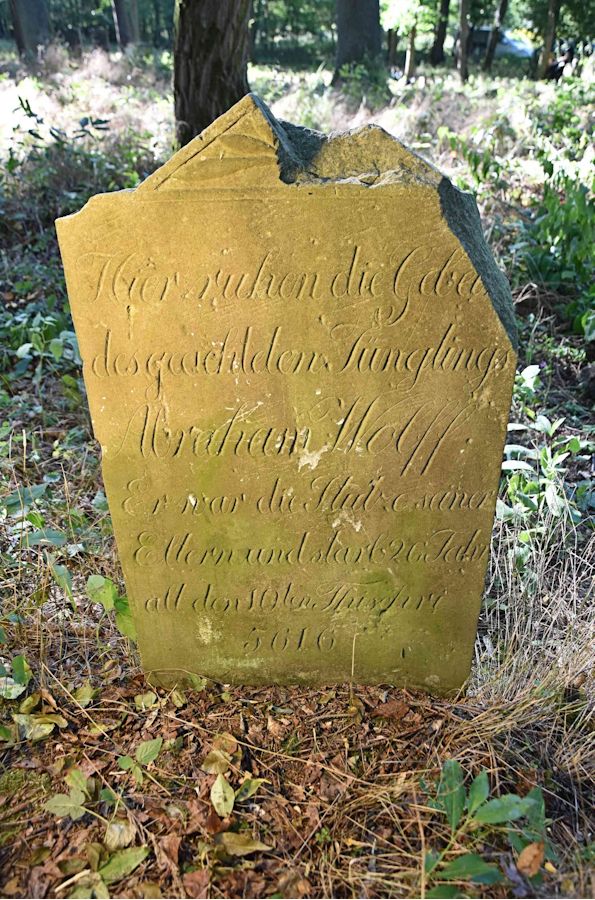 Grabstein Nummer 60 auf dem Friedhof Trzemeszno Lubuskie (Schermeisel)