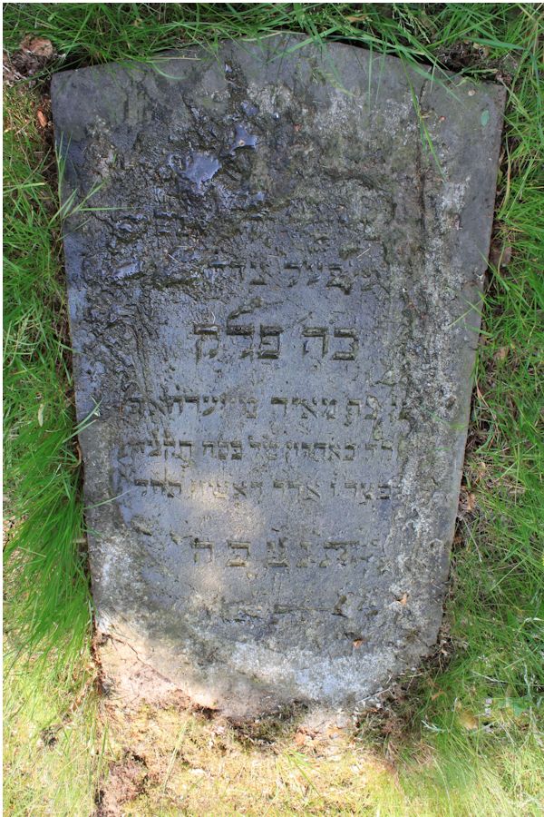 Grabstein Nummer 213 auf dem Friedhof Potsdam