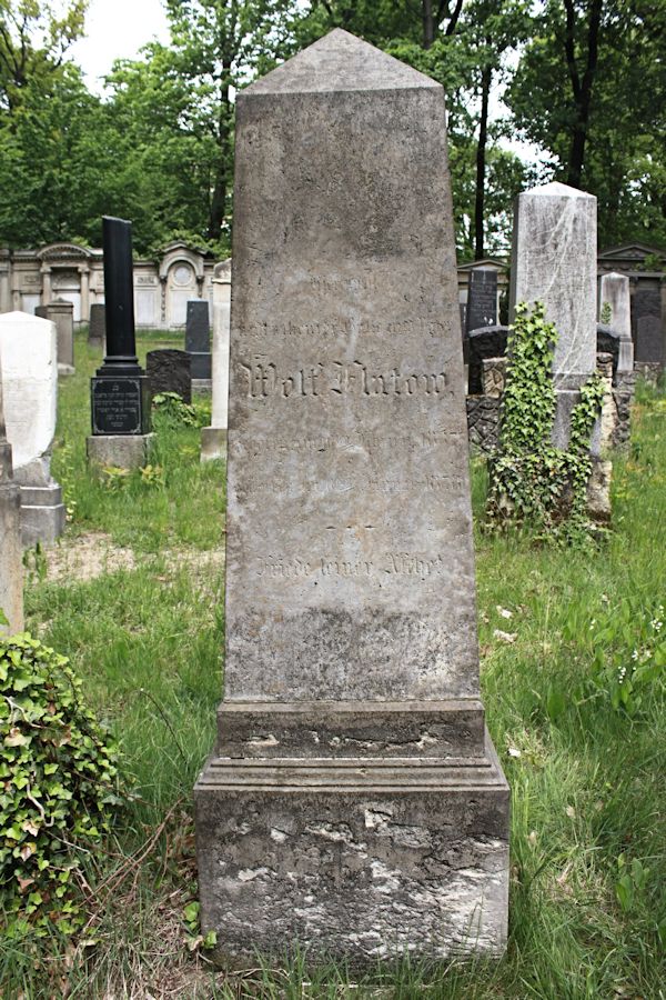 Grabstein Nummer 246 auf dem Friedhof Potsdam