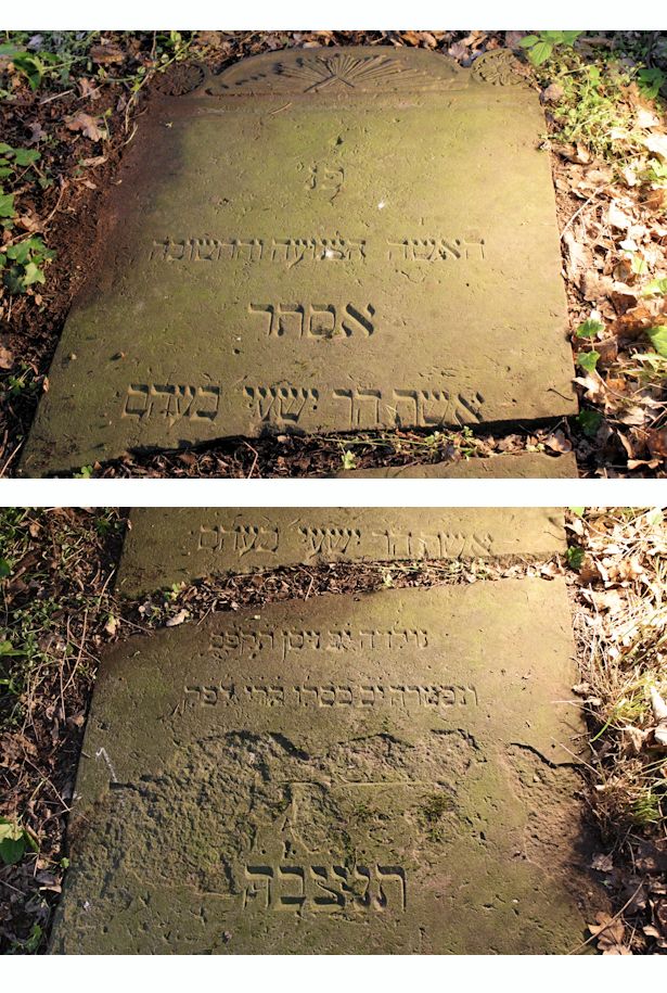 Grabstein Nummer 5 auf dem Friedhof Torzym (Sternberg)